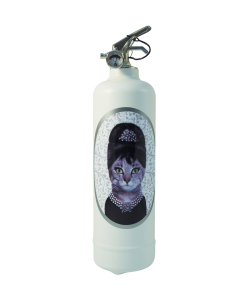 Fire extinguisher design Pets Rock Breakfast Class