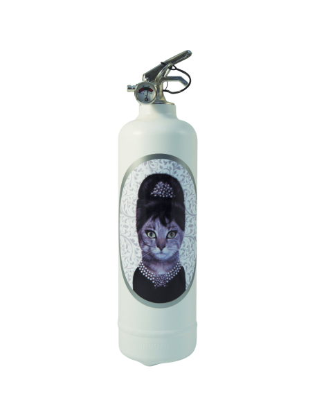 Fire extinguisher design Pets Rock Breakfast Class